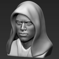 Anakin Skywalker Star Wars bust ready for full color 3D printing - Thumbnail 16