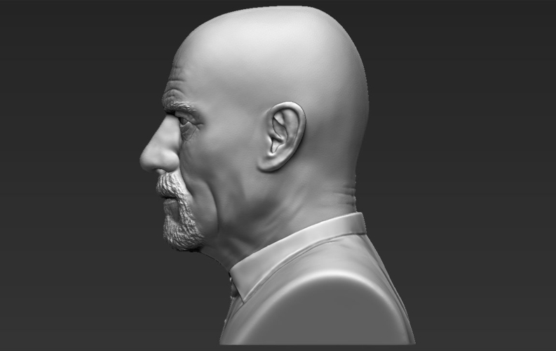 Walter White Breaking Bad bust 3D printing ready stl obj 3D Print 231264