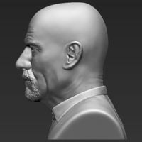 Walter White Breaking Bad bust 3D printing ready stl obj - Thumbnail 2
