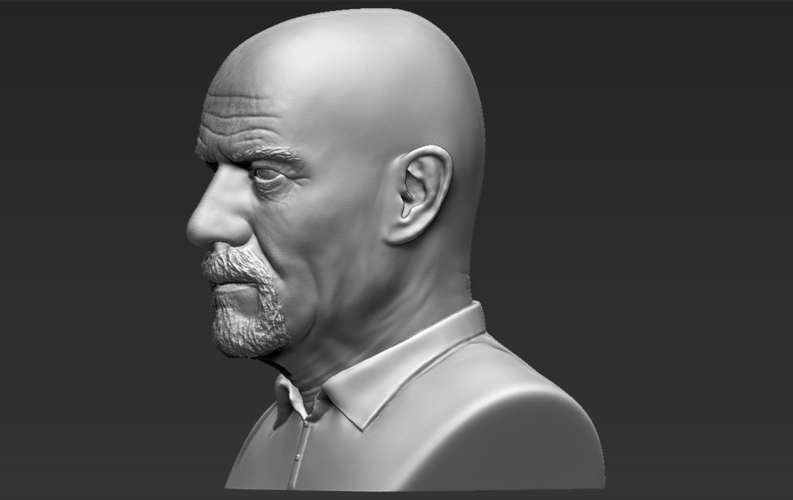 Walter White Breaking Bad bust 3D printing ready stl obj 3D Print 231266
