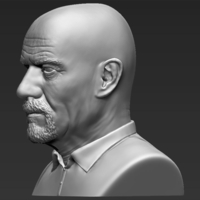 Walter White Breaking Bad bust 3D printing ready stl obj - Thumbnail 4