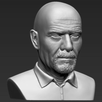 Walter White Breaking Bad bust 3D printing ready stl obj - Thumbnail 8