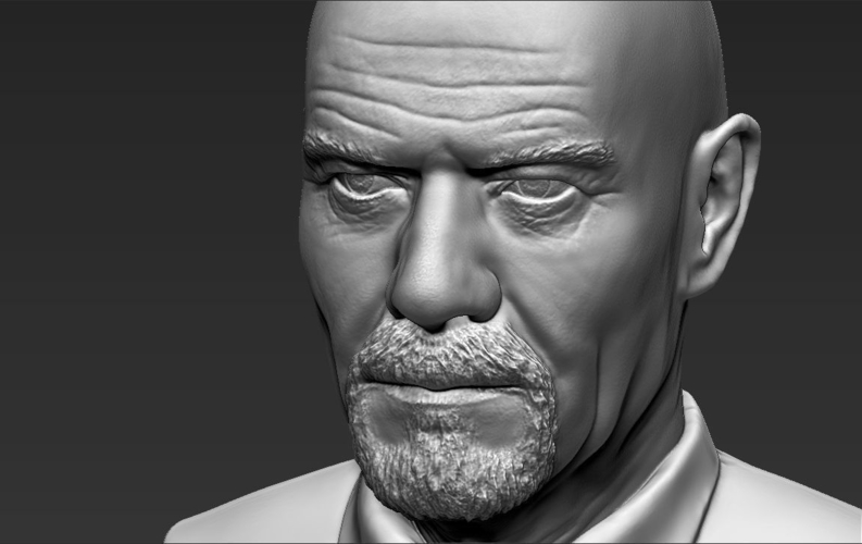 Walter White Breaking Bad bust 3D printing ready stl obj 3D Print 231272