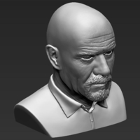 Walter White Breaking Bad bust 3D printing ready stl obj - Thumbnail 12