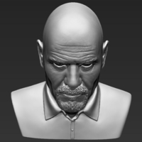 Walter White Breaking Bad bust 3D printing ready stl obj - Thumbnail 13