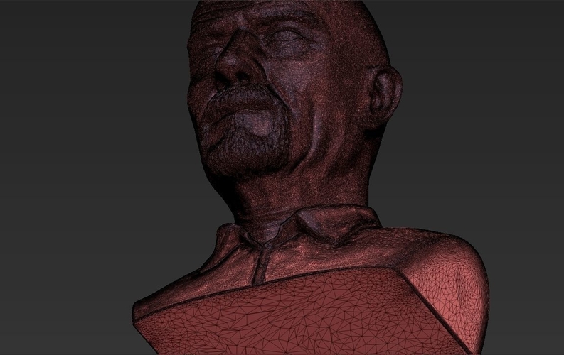 Walter White Breaking Bad bust 3D printing ready stl obj 3D Print 231276