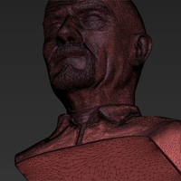 Walter White Breaking Bad bust 3D printing ready stl obj - Thumbnail 14