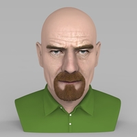 Small Walter White Breaking Bad bust ready for full color 3D printing 3D Printing 231278