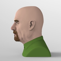 Walter White Breaking Bad bust ready for full color 3D printing - Thumbnail 5