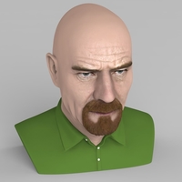 Walter White Breaking Bad bust ready for full color 3D printing - Thumbnail 9