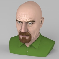 Walter White Breaking Bad bust ready for full color 3D printing - Thumbnail 10