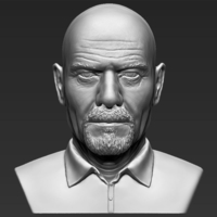 Walter White Breaking Bad bust ready for full color 3D printing - Thumbnail 15