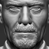 Walter White Breaking Bad bust ready for full color 3D printing - Thumbnail 20