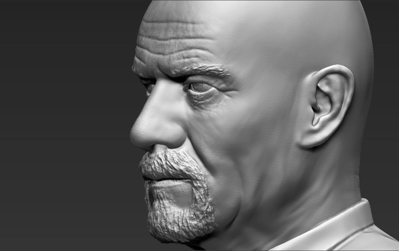 Walter White Breaking Bad bust ready for full color 3D printing 3D Print 231300
