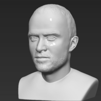 Jesse Pinkman Breaking Bad bust 3D printing ready stl obj - Thumbnail 2