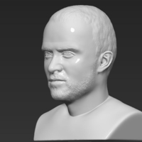 Jesse Pinkman Breaking Bad bust 3D printing ready stl obj - Thumbnail 3