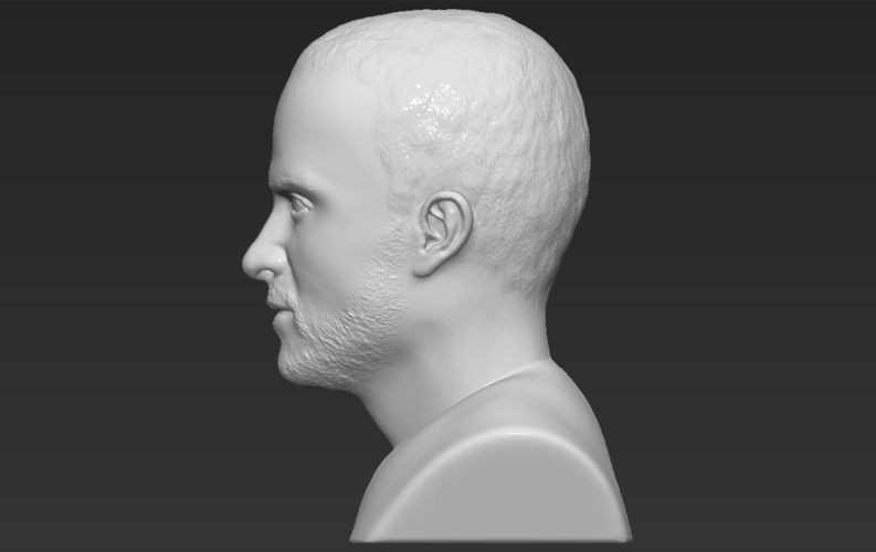 Jesse Pinkman Breaking Bad bust 3D printing ready stl obj 3D Print 231325