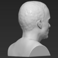 Jesse Pinkman Breaking Bad bust 3D printing ready stl obj - Thumbnail 7