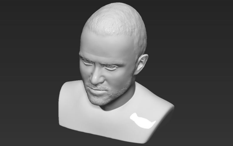 Jesse Pinkman Breaking Bad bust 3D printing ready stl obj 3D Print 231330