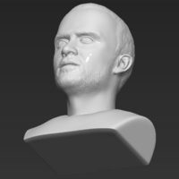 Jesse Pinkman Breaking Bad bust 3D printing ready stl obj - Thumbnail 11