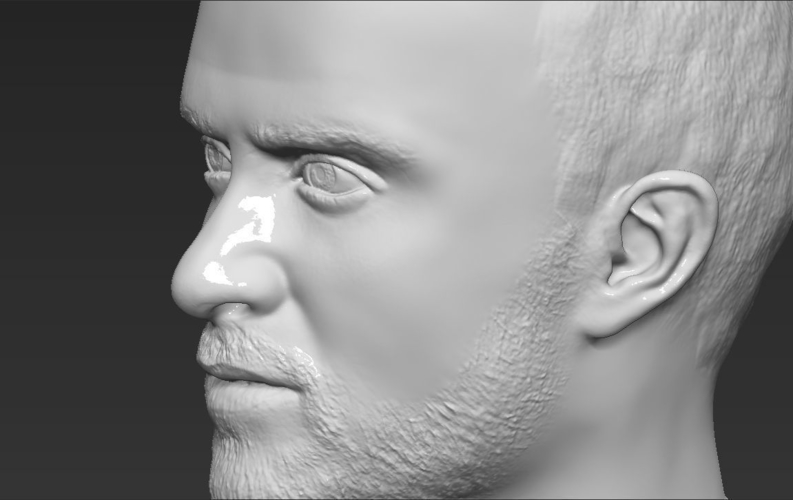 Jesse Pinkman Breaking Bad bust 3D printing ready stl obj 3D Print 231333