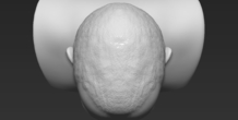 Image 231334