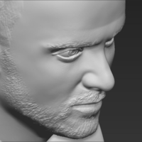 Jesse Pinkman Breaking Bad bust 3D printing ready stl obj - Thumbnail 14