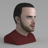 Jesse Pinkman Breaking Bad bust ready for full color 3D printing - Thumbnail 5
