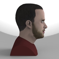 Jesse Pinkman Breaking Bad bust ready for full color 3D printing - Thumbnail 6