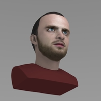 Jesse Pinkman Breaking Bad bust ready for full color 3D printing - Thumbnail 9