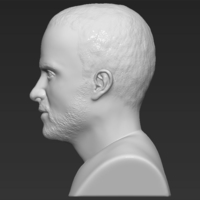 Jesse Pinkman Breaking Bad bust ready for full color 3D printing - Thumbnail 15