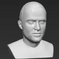 Jesse Pinkman Breaking Bad bust ready for full color 3D printing - Thumbnail 17