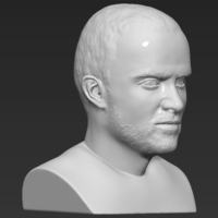 Jesse Pinkman Breaking Bad bust ready for full color 3D printing - Thumbnail 18