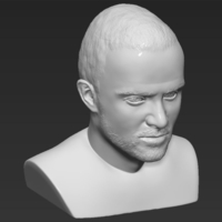 Jesse Pinkman Breaking Bad bust ready for full color 3D printing - Thumbnail 19