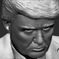 President Donald Trump bust 3D printing ready stl obj - Thumbnail 4