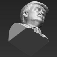 President Donald Trump bust 3D printing ready stl obj - Thumbnail 13