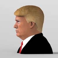 President Donald Trump bust ready for full color 3D printing - Thumbnail 5