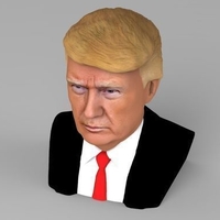 President Donald Trump bust ready for full color 3D printing - Thumbnail 10