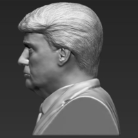 President Donald Trump bust ready for full color 3D printing - Thumbnail 17