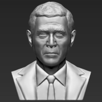Small President George W Bush bust 3D printing ready stl obj 3D Printing 231436