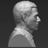 President George W Bush bust 3D printing ready stl obj - Thumbnail 6