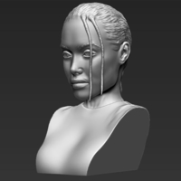 Lara Croft Angelina Jolie bust 3D printing ready stl obj - Thumbnail 3