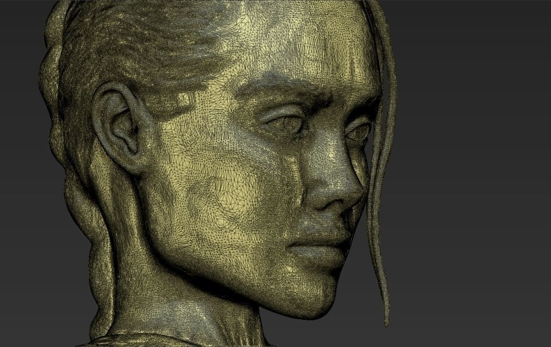 Lara Croft Angelina Jolie bust 3D printing ready stl obj 3D Print 231487