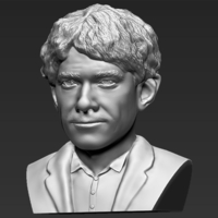 Bilbo Baggins Hobbit bust 3D printing ready stl obj - Thumbnail 2