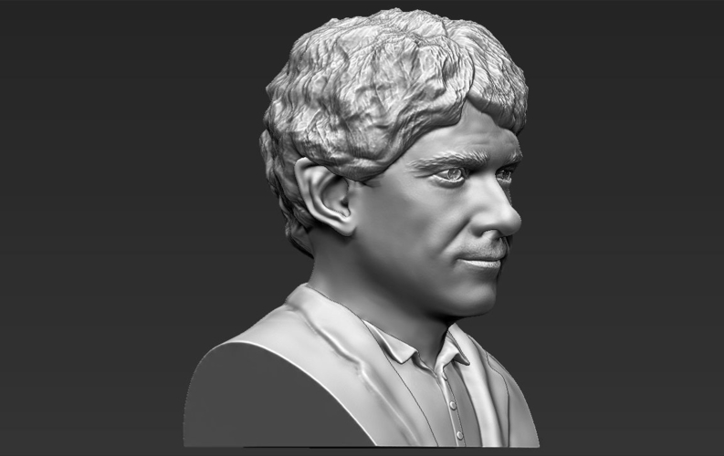 Bilbo Baggins Hobbit bust 3D printing ready stl obj 3D Print 231571