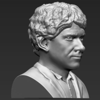 Bilbo Baggins Hobbit bust 3D printing ready stl obj - Thumbnail 5
