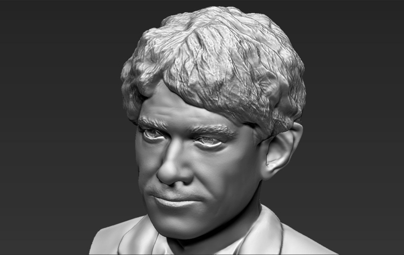 Bilbo Baggins Hobbit bust 3D printing ready stl obj 3D Print 231577