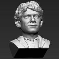 Bilbo Baggins Hobbit bust 3D printing ready stl obj - Thumbnail 12