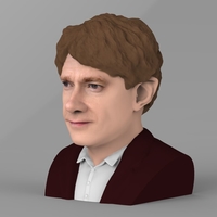 Bilbo Baggins Hobbit bust ready for full color 3D printing - Thumbnail 2