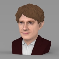 Bilbo Baggins Hobbit bust ready for full color 3D printing - Thumbnail 3